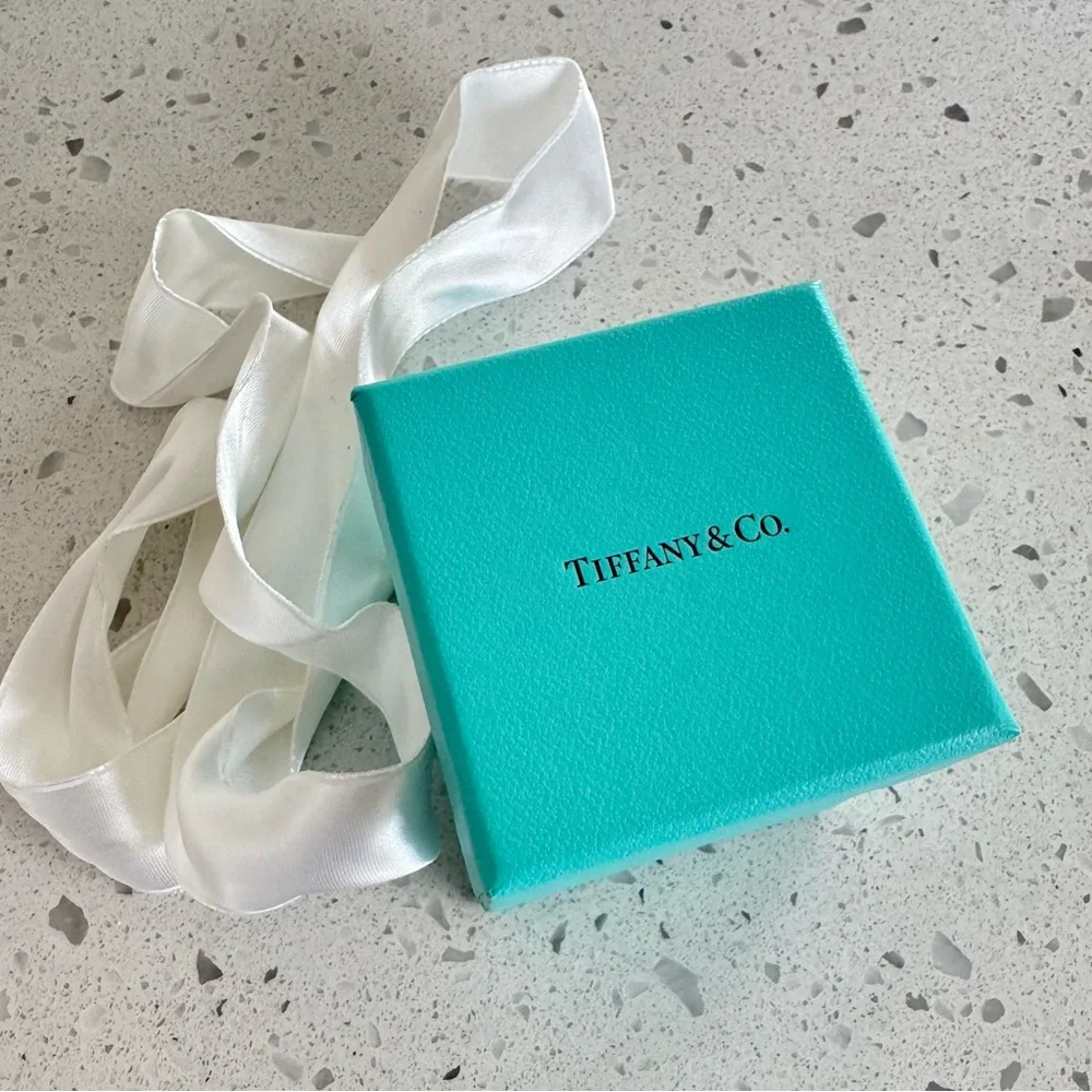 Tiffany and Co Gift Box 2”